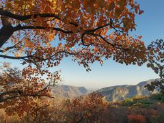 -周口店坡峰岭风景区