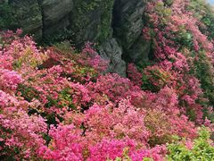 -木兰云雾山