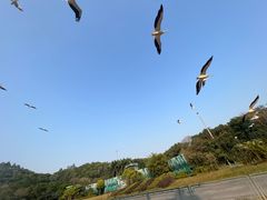 -深圳野生动物园