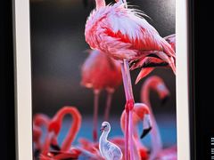 -罗红摄影艺术馆