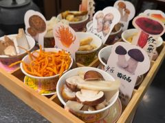 -菌自由丨野生菌火锅特色庭院餐厅(丽江古城店)