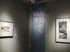 -四川美术馆