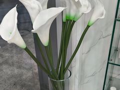 -福奈特洗衣·洗鞋·奢侈品护理(真北店)