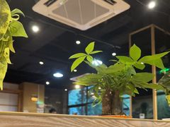 -凤兴鸡煲(宝安海雅店)