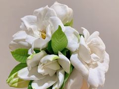 -芜湖白金汉爵大酒店