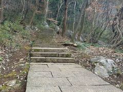 -九曜山