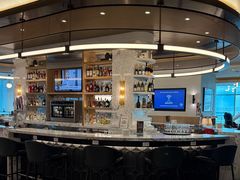 -约翰·菲茨杰拉德·肯尼迪国际机场