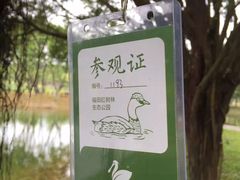 -福田红树林生态公园