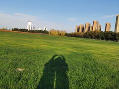 -映月湖中央公园