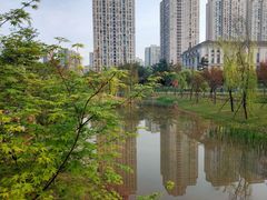 -沐仙湖湿地公园