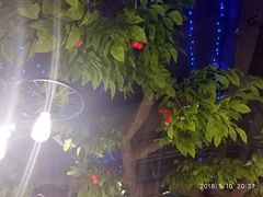 -蕃茄述·好汤自然来(江汉路店)