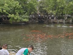 -水磨沟公园