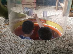 -萌宠奇缘