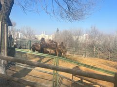 -青藏高原野生动物园