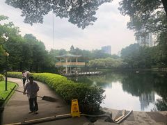 -晓港公园