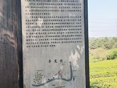 -游子山休闲旅游区