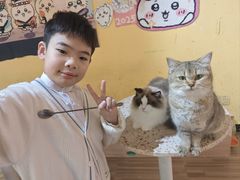 -喵小馆·猫咖狗咖猪咖·饮品店