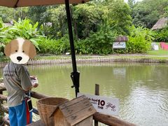 -大象粑粑造纸公园