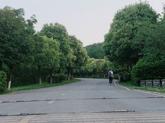 -南京市江宁方山