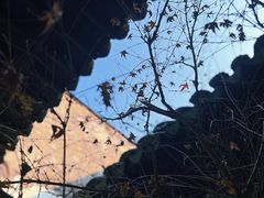 -黎里古镇