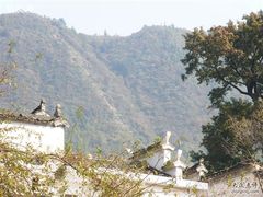 -塔川景区