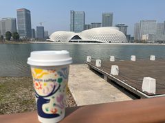 -金沙湖公园