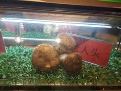 -天宜隆蘑菇宴火锅(石景山旗舰店)