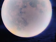 -天津梵高星空艺术馆(天河城旗舰店)