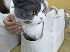-瑞鹏宠物医院·内科·中兽医·骨科(苗圃店)