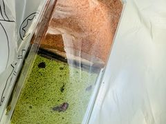 -远大购物中心(南岗店)