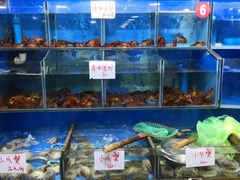 -张树军海鲜(王府壹号店)