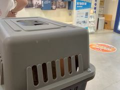 -伟伟宠物医院·CT影像中心·瑞派犬猫综合性门诊(汉口总院)