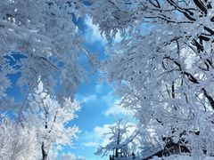 -中旅松花湖滑雪场