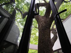 -衡山路(地铁站)