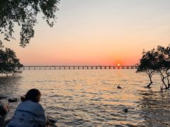 -宝安西湾红树林湿地公园