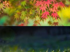 -江郎山风景名胜区