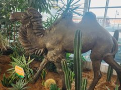 -银川河东国际机场