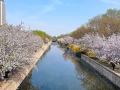 -元大都城垣遗址公园