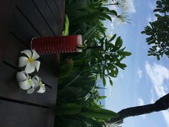 -Rock Bar Bali(Bali)