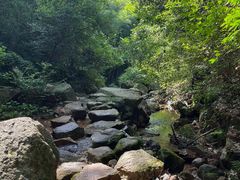 -莫干山风景区