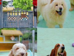 -上海佘山世茂艾美酒店