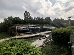 -三水森林公园