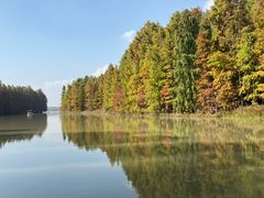 -上海海湾国家森林公园