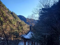 -王顺山国家森林公园