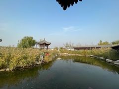 -水西公园