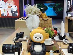 -Sony Store 索尼(上海淮海中路店)