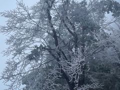 -金子山原生态旅游风景区