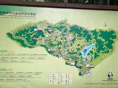 导游图-成都大熊猫繁育研究基地