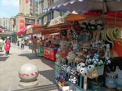 -成都动物园