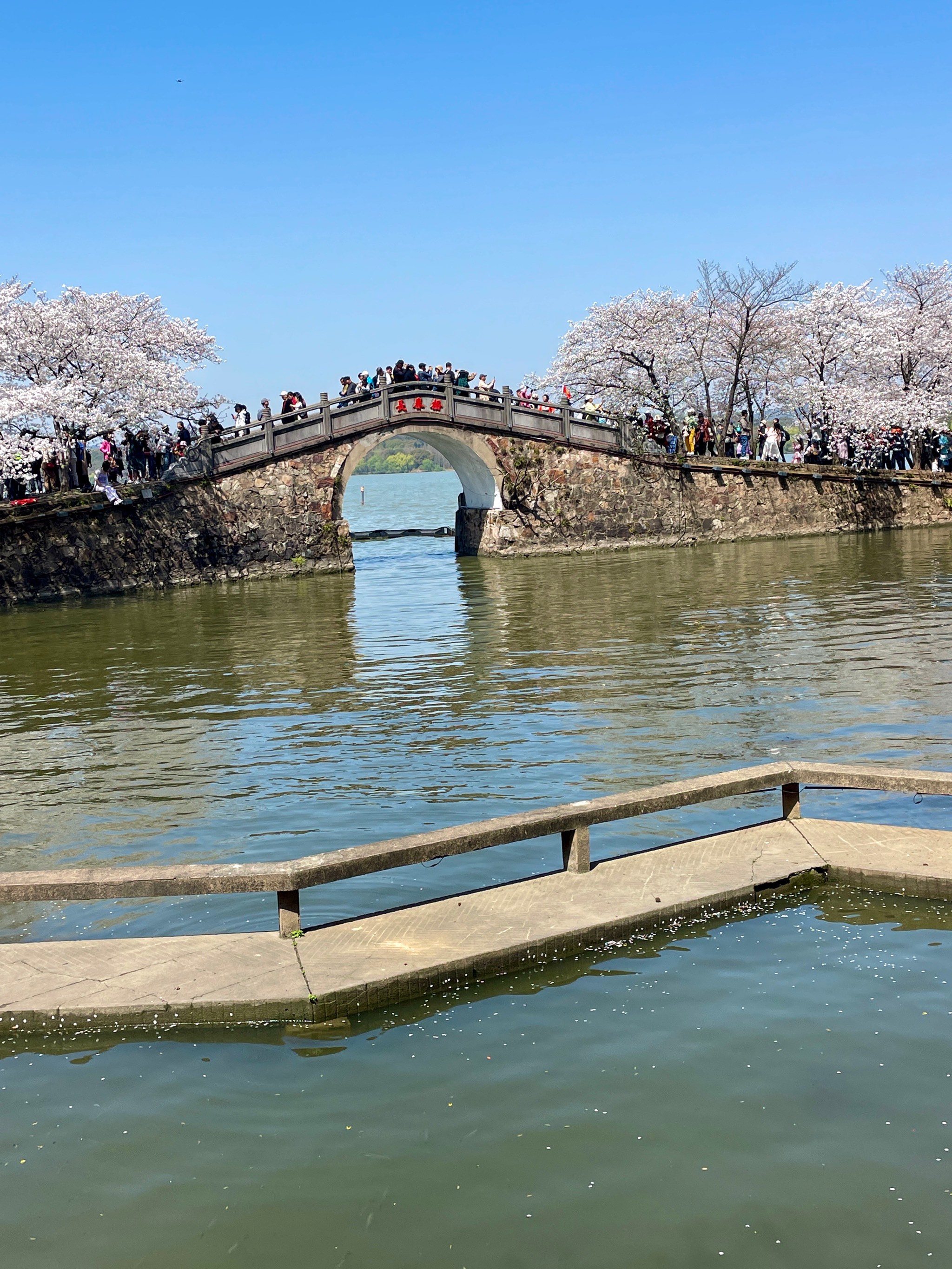 带艳字的风景图片图片